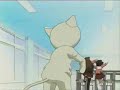 The Azumanga-Kitten dance The Azumanga-Kitten dance