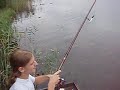 Płotki 4