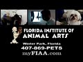Pet grooming school / vet assistant