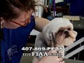 Pet grooming school / vet assistant