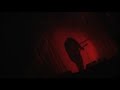 plastic tree   circus  live 