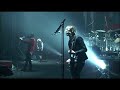 plastic tree   circus  live 