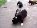 First day outside First day outside