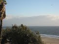Santa Monica, 12/08/2007, Windy, Bird (2)