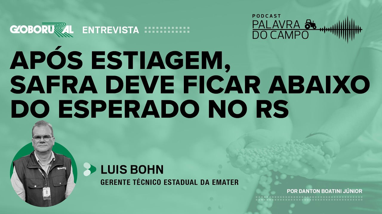 Após estiagem, safra de grãos deve ficar abaixo do esperado no RS | Palavra do Campo - Globo Rural
