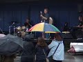 Fields of Gold (live)