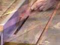 Seggy's Dream - a Woodturning Story Seggy's Dream - a Woodturning Story