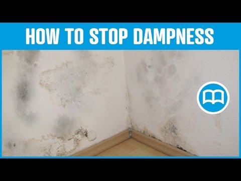 how to cure efflorescence on plaster