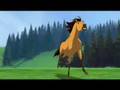 Spirit The Horses Daryl Braithwaite