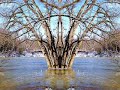 a seasonal time lapse video, shot looking south over the thames river in komoka provincial park, west of london, ontario, canada. once again, brian eno - you are a genius! to view the flora and fauna of this area please go to:
http://www.myspace.com/entropious88