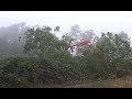 Demolishing a Tree