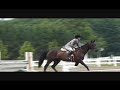 Equestrian Festival - Amateur Owner Hunter