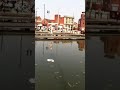 Click here to watch this video Epic ginger jump