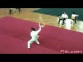 SZJ Bagua Deerhorn