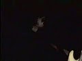 Death From Above 1979