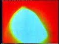 Fever - Beat Of The Night 1979