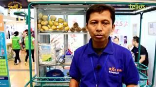 Ulir Kriuk, Dari Kentang Ha..