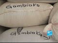 Pari de la modernisation agricole au Mali