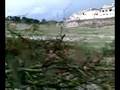 Bracciano and Manziana flood and heil