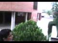 videos de parodia beckam-calderon