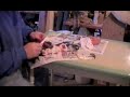 Pheasant Taxidermy Video 4 of 5 Pheasant Taxidermy Video 4 of 5