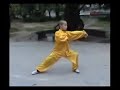 Taiji - Chen Style
