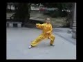 Taiji - Chen Style Taiji - Chen Style