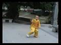 Taiji - Chen Style