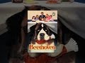 Beethoven
