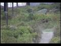Honda CRF 250 X Riding in Powerlines