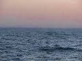 The Sea The Sea