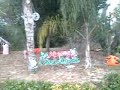 Dylan Putting Up his Christmas Display