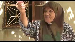 سيرة مخيم الرشيدية