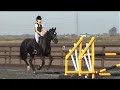 BSJA course hire - small course