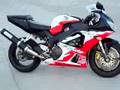 2001 HONDA CBR 929 ERION RACING EDITION CROTCH ROCKET