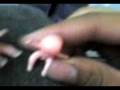 videos de noturno e dolly no buzão