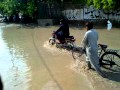 View Video