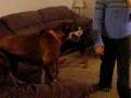 videos de The kids at Britts.avi
