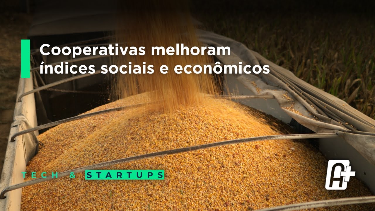 Inteligência territorial para a cadeia de grãos: plataforma promete mais segurança e produtividade