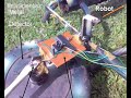 Mongoose and robot duo sniff out landmines