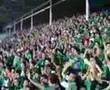 KOCAEL�SPOR-sakaryaspor adABAZAr� tatangaylar  K�RFEZ KOCAEL�SPOR