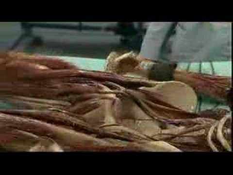 CGI - Evolution of CGI in movies Song: The Servant - cells (instrumental version)