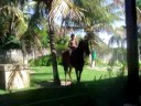 Moos Lakeside Lodge