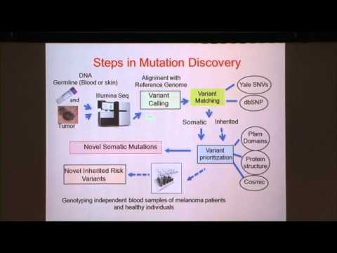 Role of Basic and Translational Science in Discovery of New Treatments for Melanoma