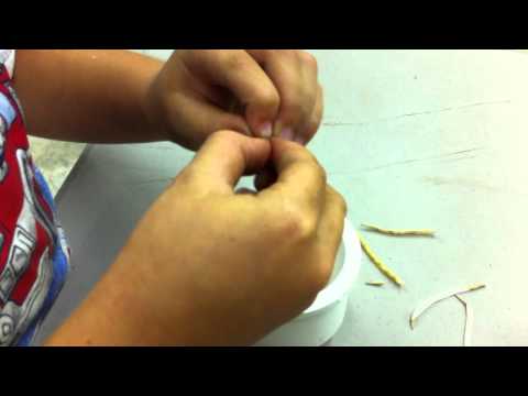 how to harvest kale seeds
