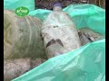 Мусорные войны (Житомир)