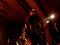 Kobranocka - Kocham Ci? jak Irlandie
