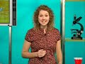 Chat Room: Ken & Andrea explain name variations