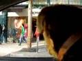 Airedale Terrier video