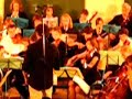 Pirates des cara�bes